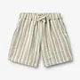 Shorts Cuba Summer stripe SS26
