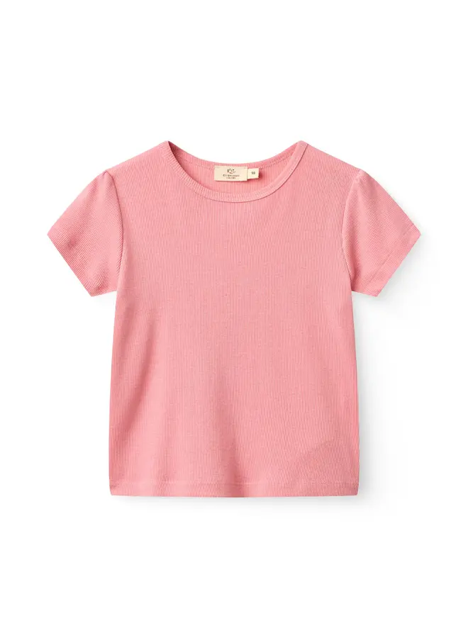 Modal rib tee Ruffle sleeves Pink SS26