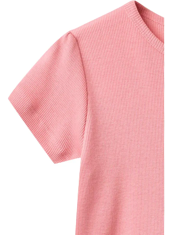 Modal rib tee Ruffle sleeves Pink SS26