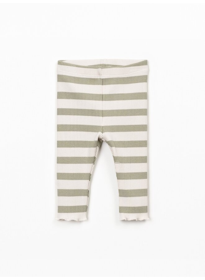 Striped Rib leggings R363G SS26