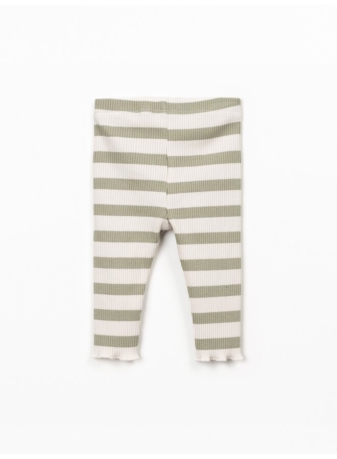 Striped Rib leggings R363G SS26