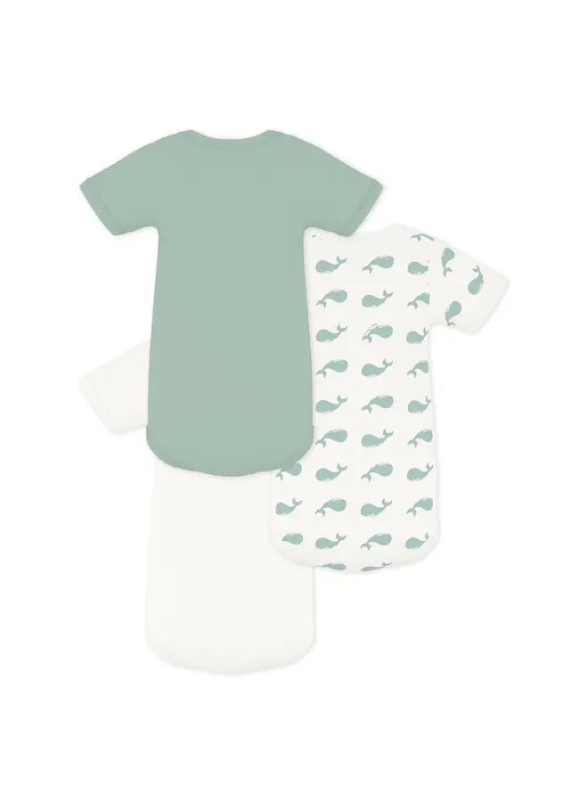 Set 3 rompers Korte mouw Walvis A0FOJ