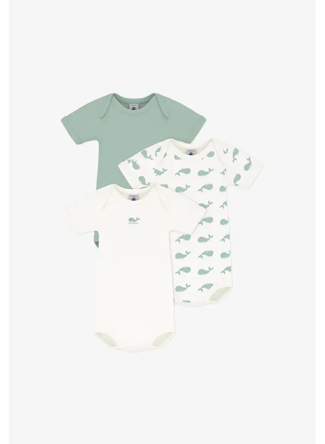 Set 3 rompers korte mouw Walvis