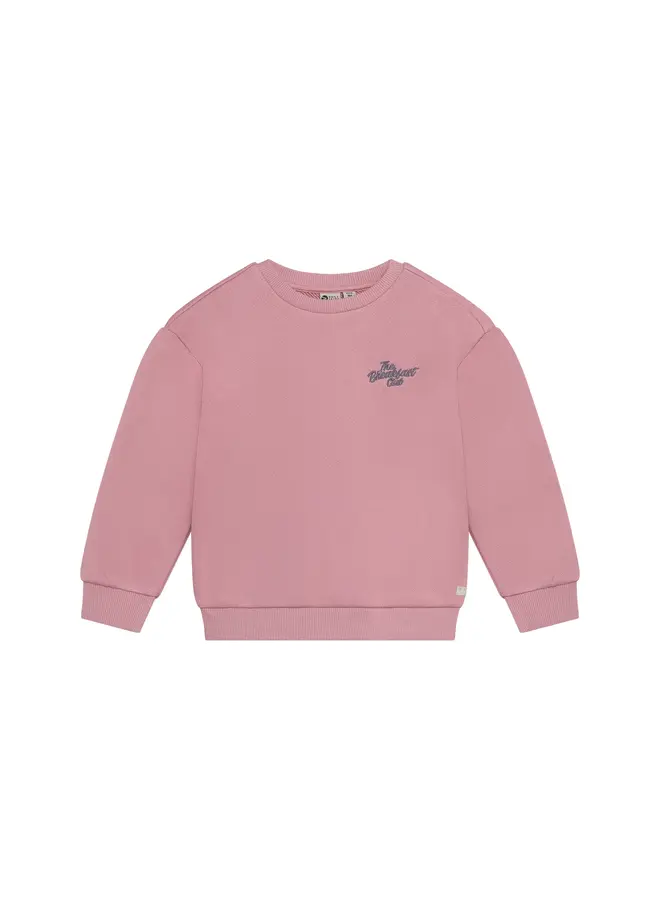 Sweater backprint lilas