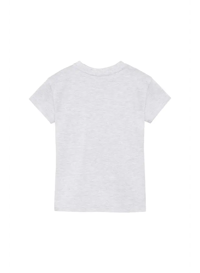 T-shirt artwork light grey melange