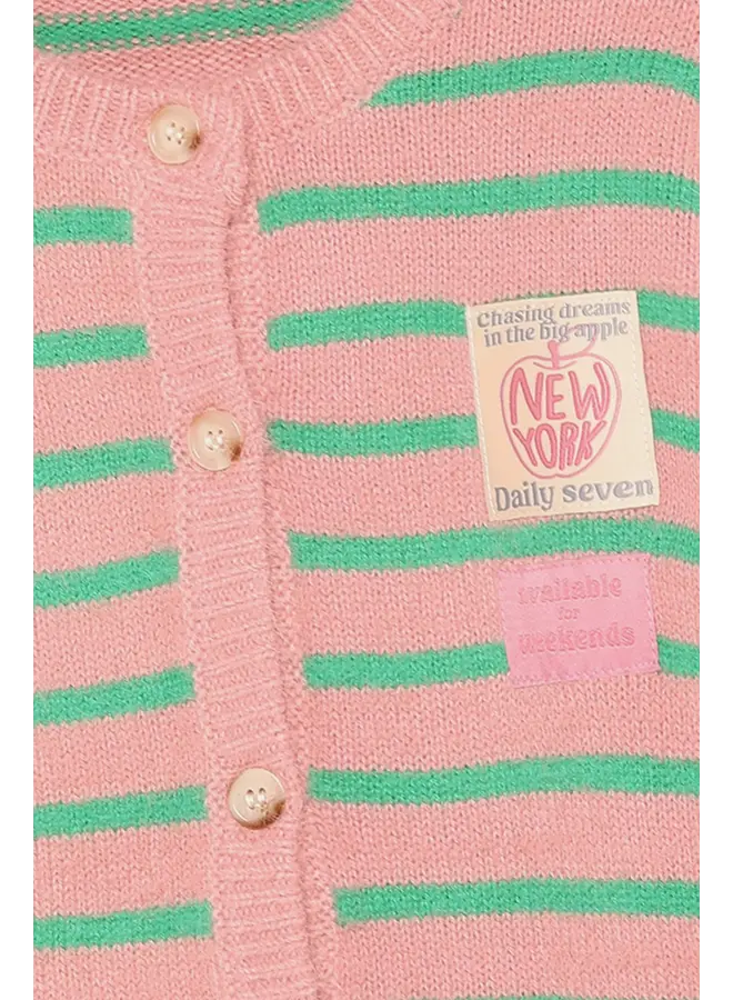 Knitwear striped cardigan lilas