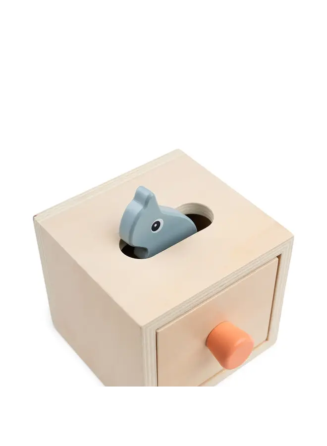 Hide & find box Nozo colour mix