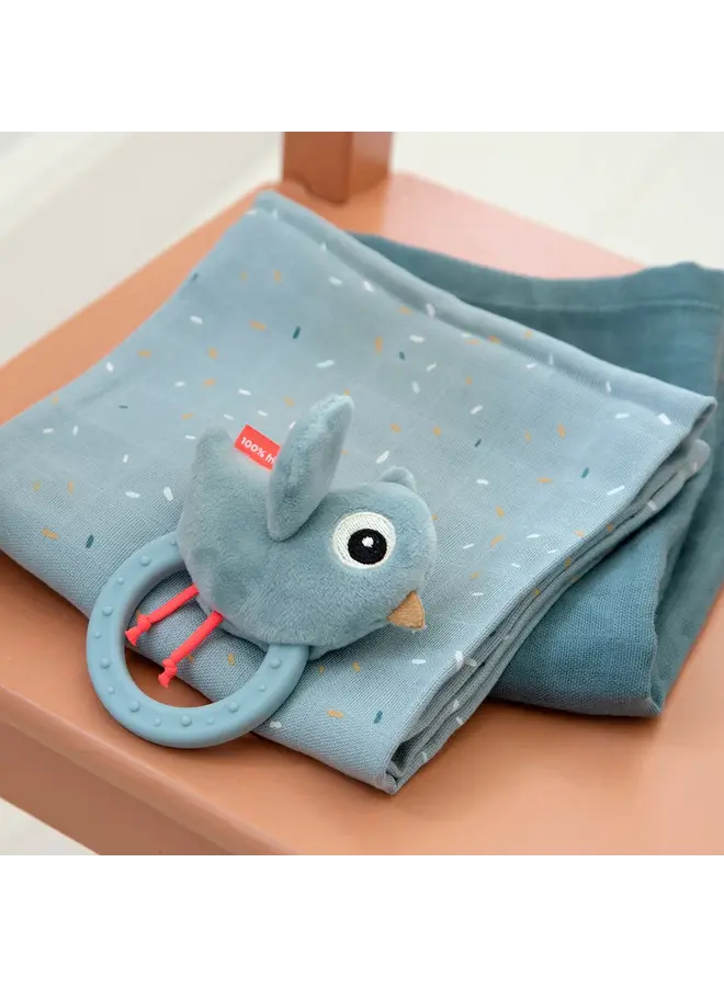 Rammelaar met bijtring Birdee blue