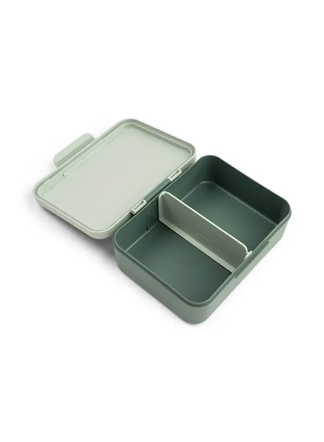 Lunch box w/divider Tiny trails green
