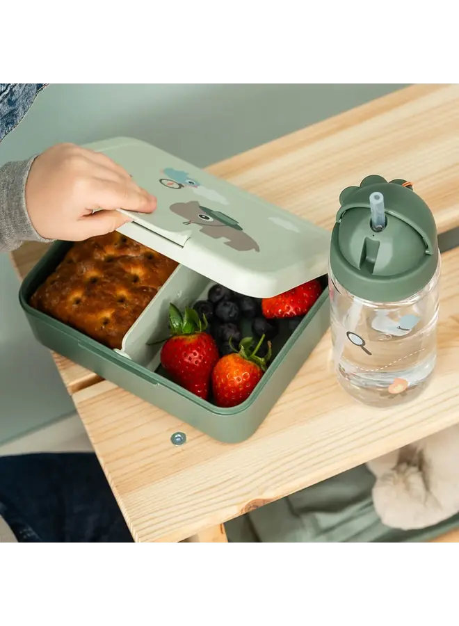 Lunch box w/divider Tiny trails green