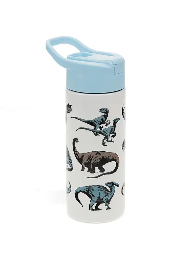 Dino drinkfles RVS