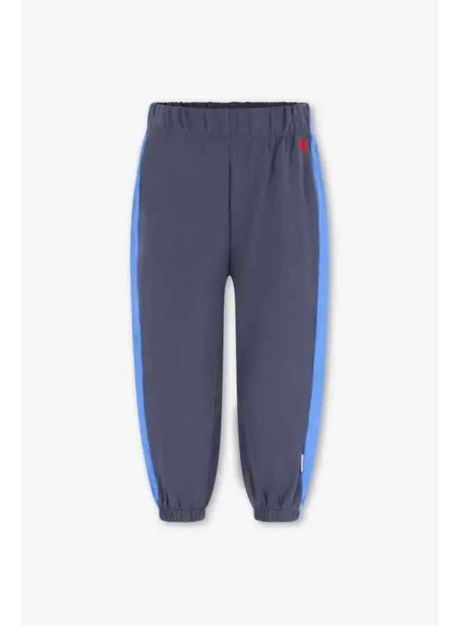 Wolf sweatpants ombre blue
