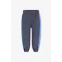 Wolf sweatpants ombre blue