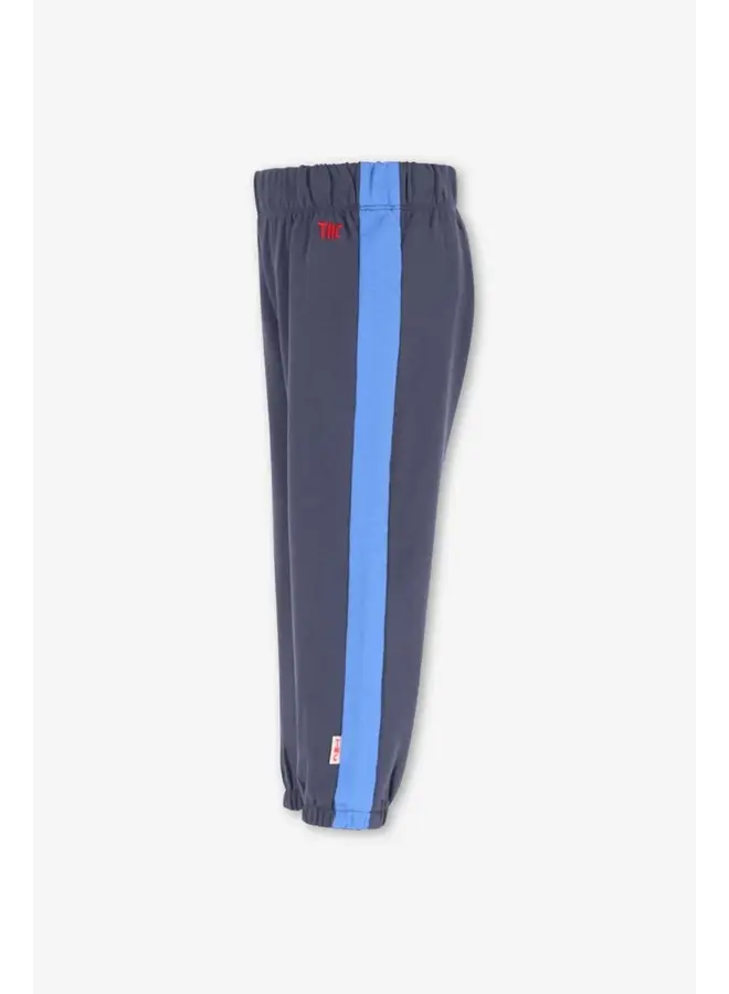Wolf sweatpants ombre blue