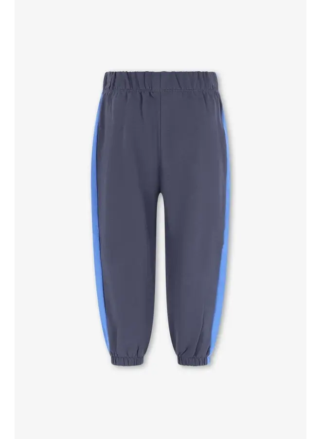 Wolf sweatpants ombre blue