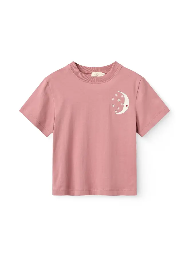 T-shirt w. embroidery ss winter rose