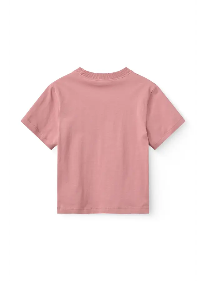 T-shirt w. embroidery ss winter rose