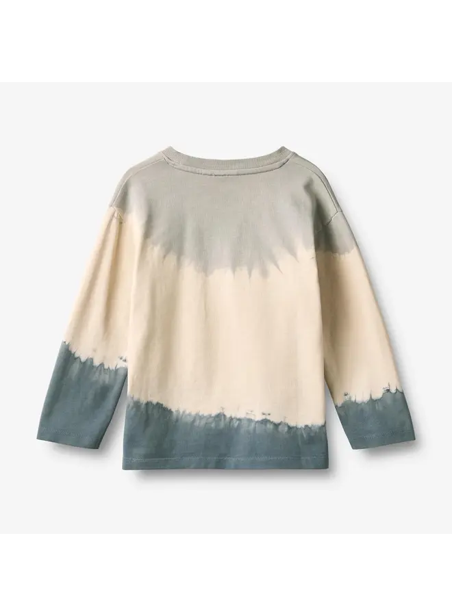 Longsleeve dixie d multi