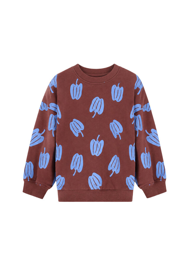 Billie sweater paprika AO