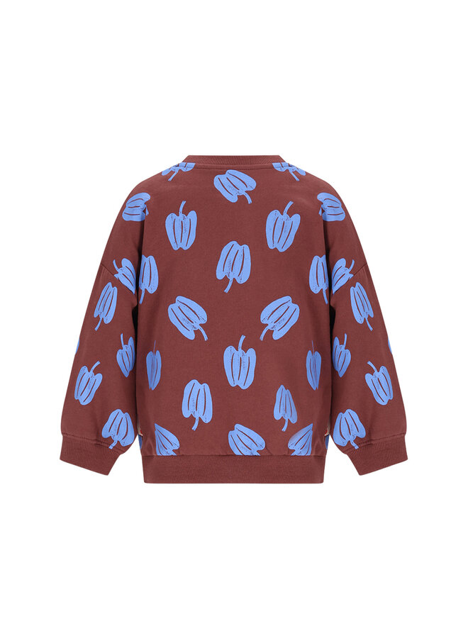 Billie sweater paprika AO