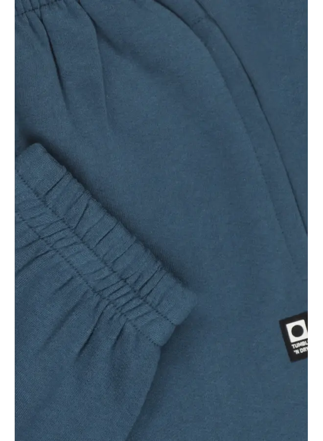 Southend sweatpants blue wing teal
