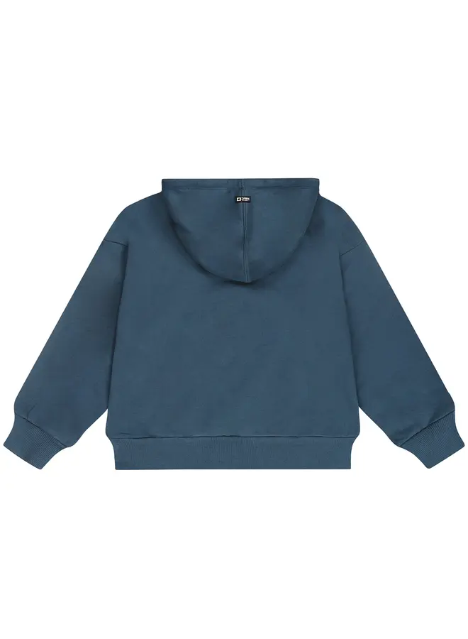 Exeter hoodie blue wing teal