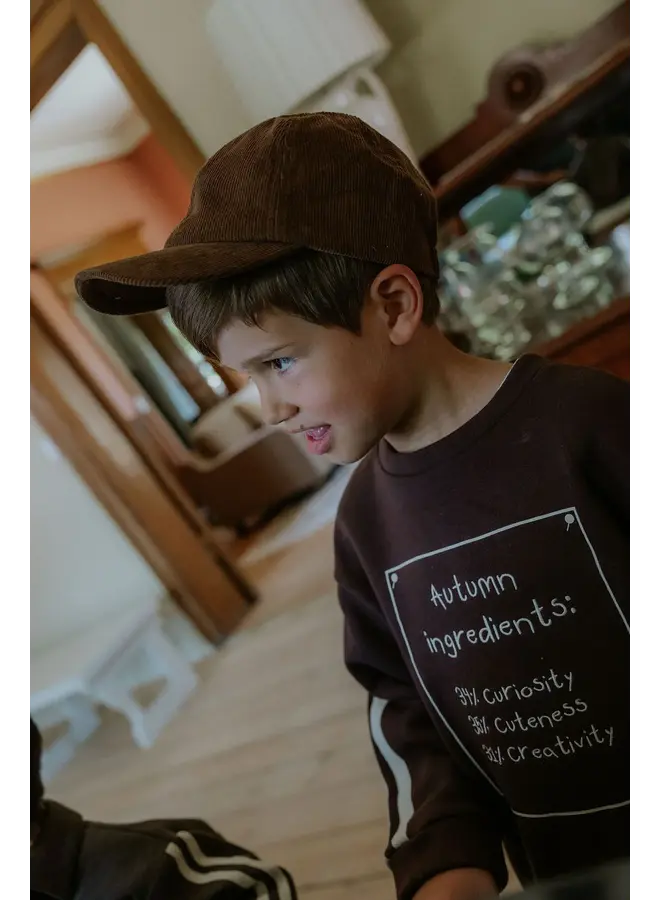 Alvin sweatshirt coffee bean