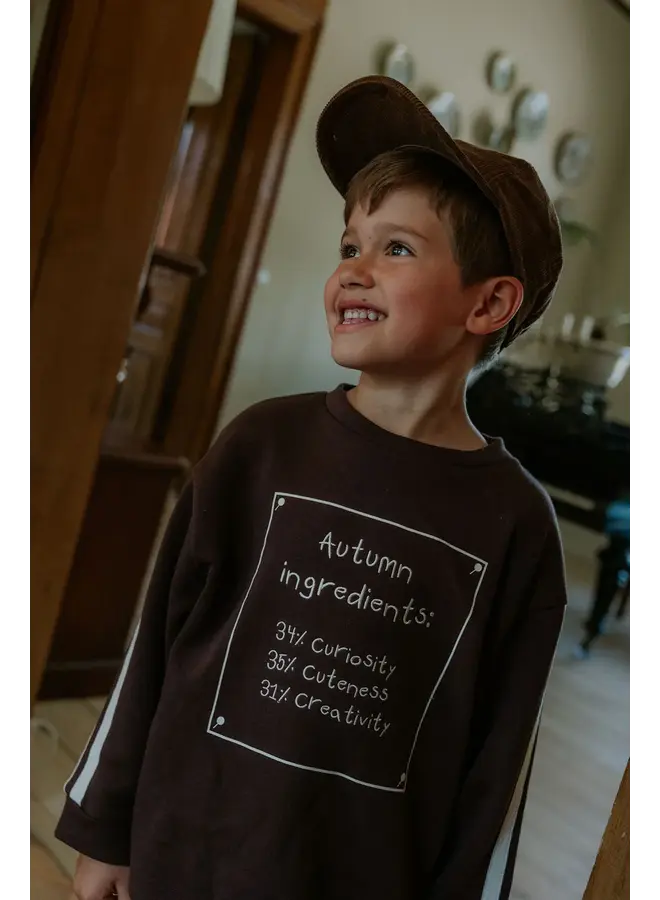 Alvin sweatshirt coffee bean