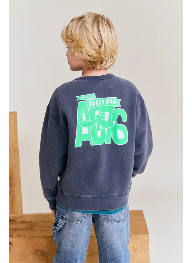 Oscar sweater doggy dark slate