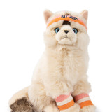 B.T. Chaps Knuffel Dolly the Ragdoll 32 cm B.T. Chaps Knuffel Dolly the Ragdoll 32 cm