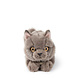B.T. Chaps Knuffel Freddy the British Shorthair in giftbox 20 cm