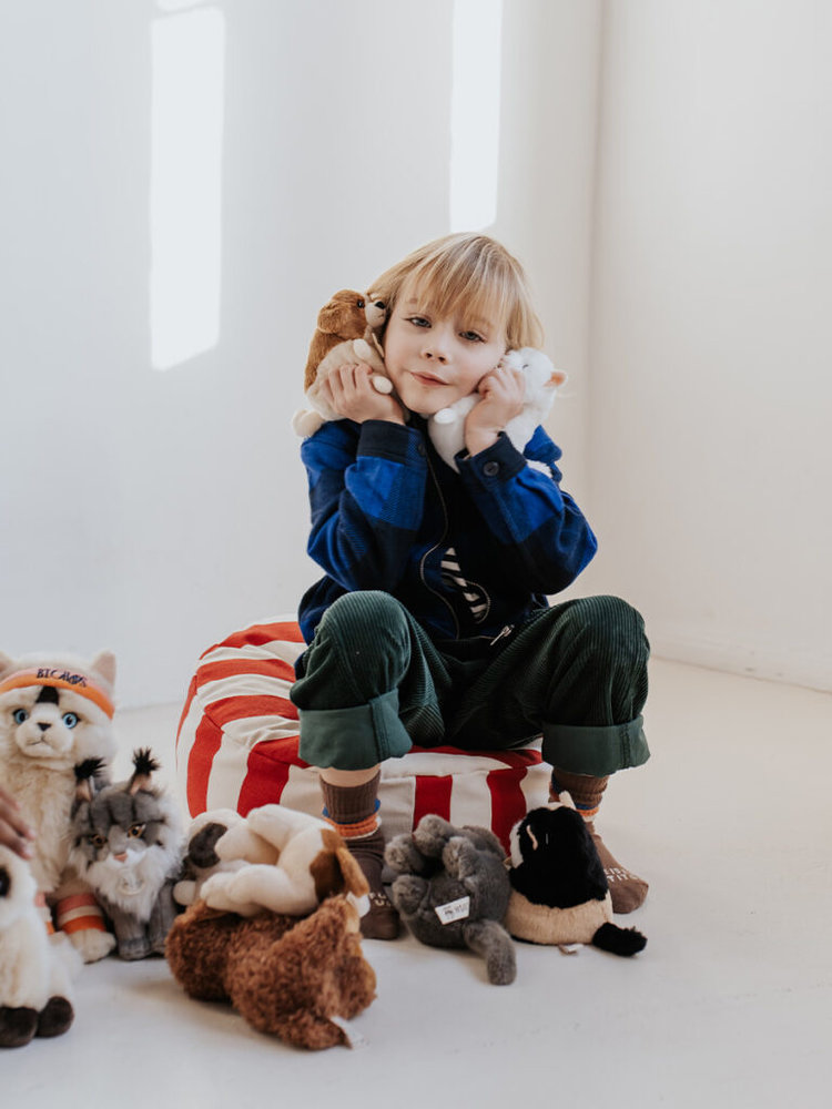 B.T. Chaps Knuffel Freddy the British Shorthair in giftbox 20 cm