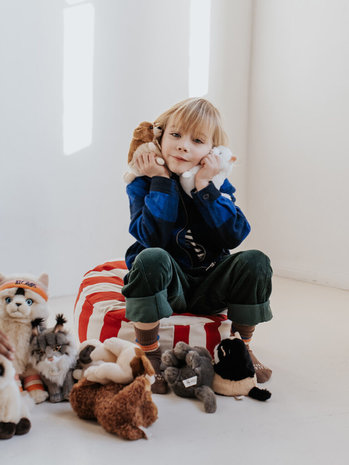 B.T. Chaps Knuffel Freddy the British Shorthair in giftbox 20 cm