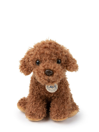 B.T. Chaps Knuffel Stacy the Labdradoodle in giftbox 17 cm