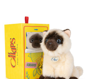 B.T. Chaps Knuffel Eddie the Siamese in giftbox 17 cm
