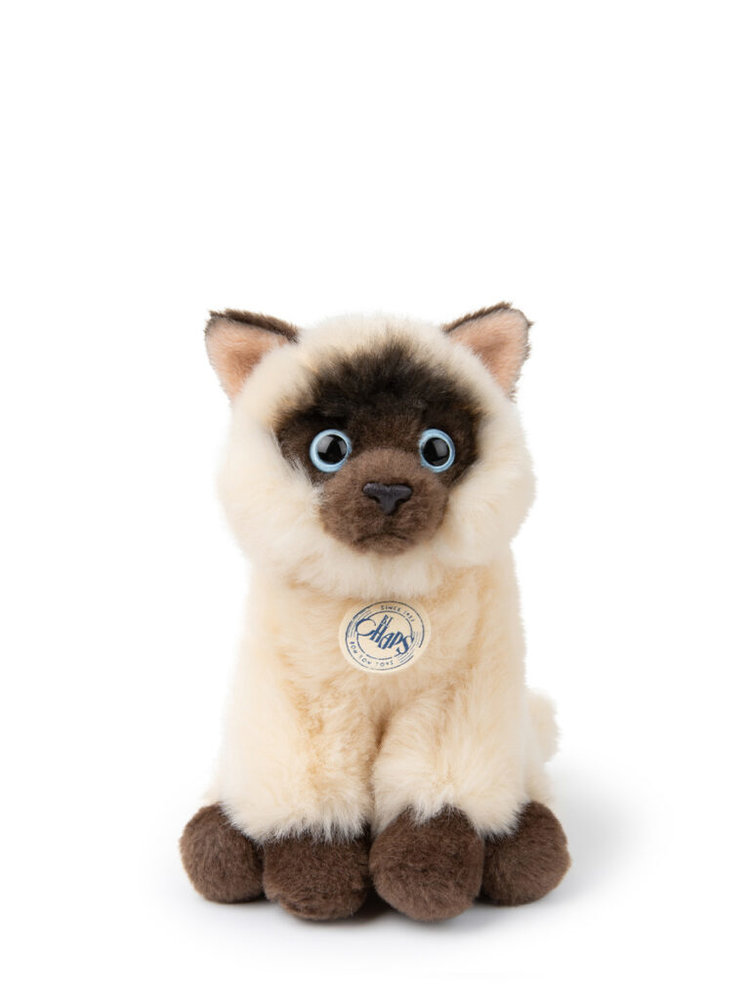 B.T. Chaps Knuffel Eddie the Siamese in giftbox 17 cm