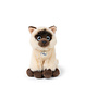 B.T. Chaps Knuffel Eddie the Siamese in giftbox 17 cm