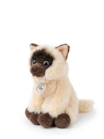 B.T. Chaps Knuffel Eddie the Siamese in giftbox 17 cm