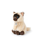 B.T. Chaps Knuffel Eddie the Siamese in giftbox 17 cm