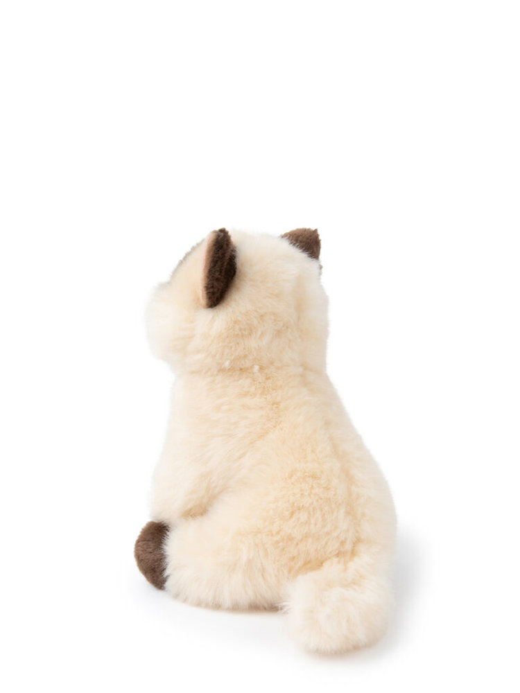 B.T. Chaps Knuffel Eddie the Siamese in giftbox 17 cm