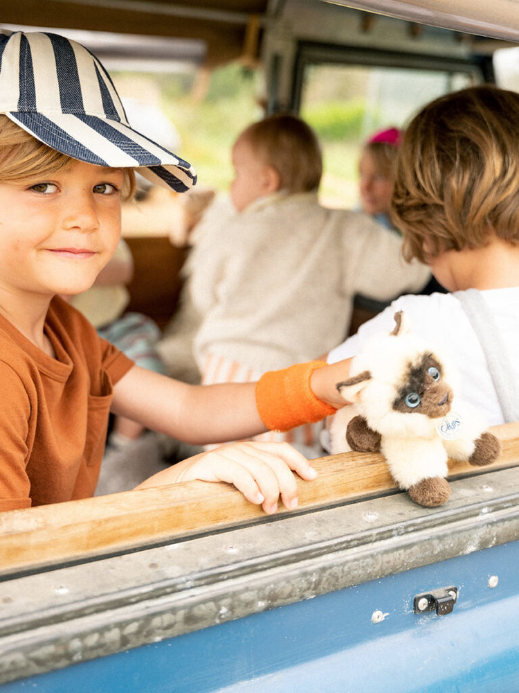 B.T. Chaps Knuffel Eddie the Siamese in giftbox 17 cm