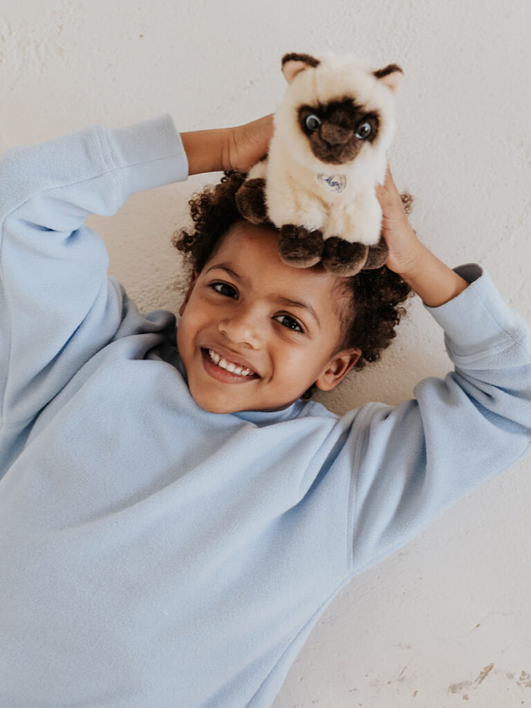 B.T. Chaps Knuffel Eddie the Siamese in giftbox 17 cm