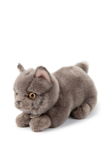 B.T. Chaps Knuffel Freddy the British Shorthair in giftbox 20 cm
