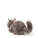 B.T. Chaps Knuffel Freddy the British Shorthair in giftbox 20 cm