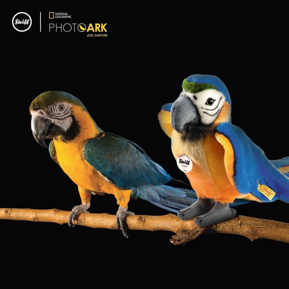 Steiff Knuffel Papegaai National Geographic Lori