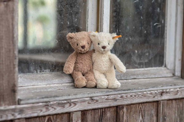 Steiff Knuffel Teddybeer Thommy Teddy Bear 20cm Steiff Knuffel Teddybeer Thommy Teddy Bear 20cm