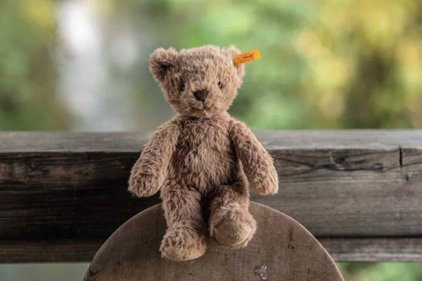 Steiff Knuffel Teddybeer Thommy Teddy Bear 20cm Steiff Knuffel Teddybeer Thommy Teddy Bear 20cm