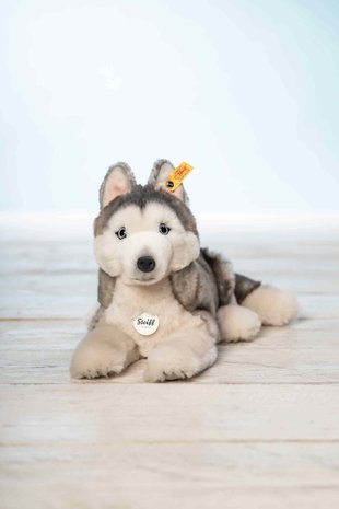 Steiff Knuffel Hond Bernie Husky 33cm