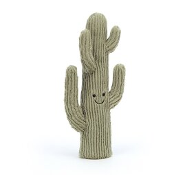 Jellycat Knuffel Amuseable Woestijn Cactus Small