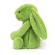 Jellycat Knuffel Konijn Bashful Apple Bunny Medium